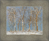 Winter Woods