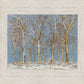 Winter Woods