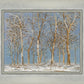 Winter Woods