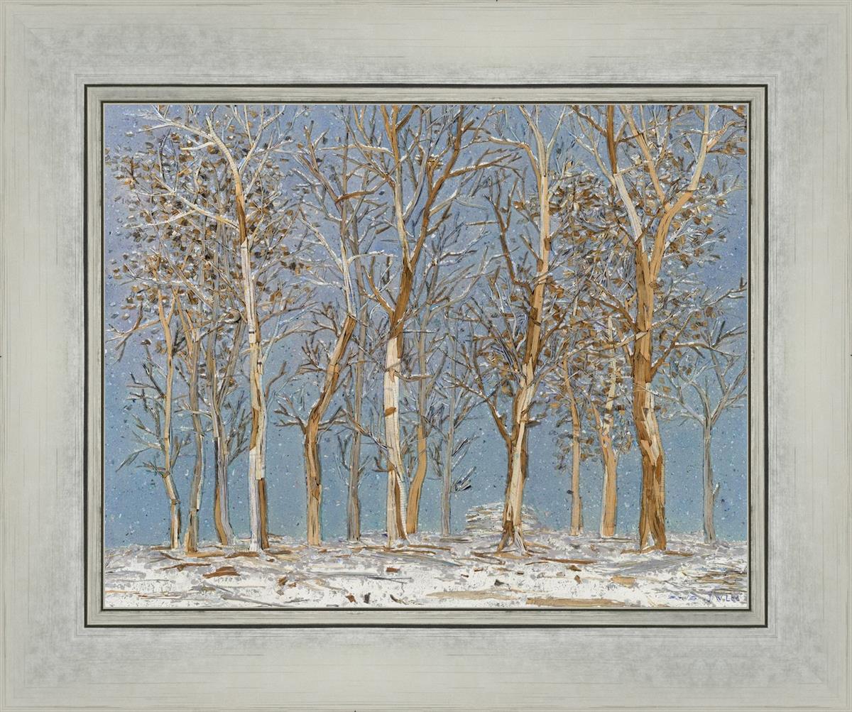Winter Woods