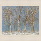 Winter Woods