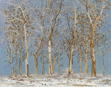 Winter Woods