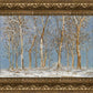 Winter Woods