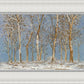 Winter Woods