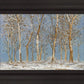 Winter Woods