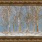 Winter Woods