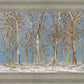 Winter Woods