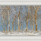 Winter Woods
