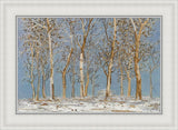 Winter Woods