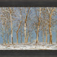 Winter Woods