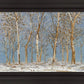 Winter Woods