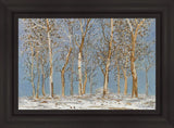 Winter Woods