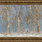 Winter Woods