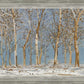 Winter Woods