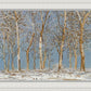 Winter Woods