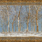 Winter Woods