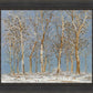 Winter Woods