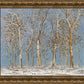 Winter Woods