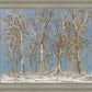 Winter Woods