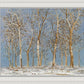 Winter Woods