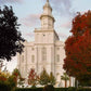 St. George Red Tree