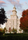 St. George Red Tree