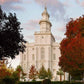 St. George Red Tree