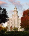 St. George Red Tree