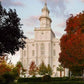 St. George Red Tree