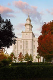 St. George Red Tree