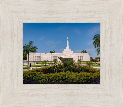 Mérida Mexico Garden Peace