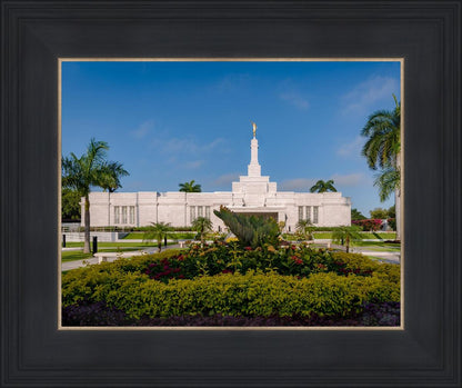 Mérida Mexico Garden Peace