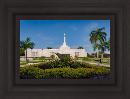 Mérida Mexico Garden Peace