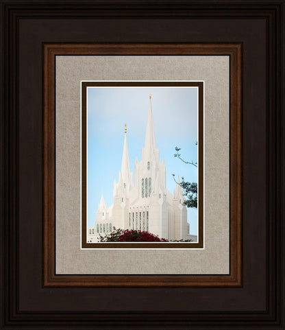 San Diego California Magenta Views