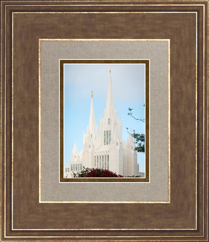 San Diego California Magenta Views