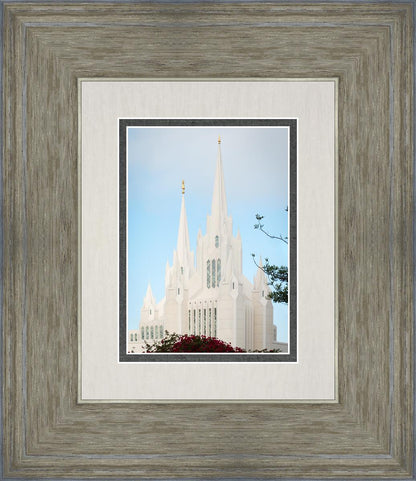 San Diego California Magenta Views