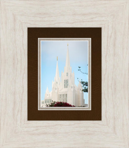 San Diego California Magenta Views