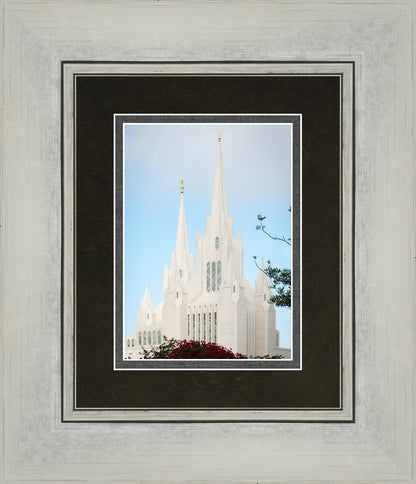 San Diego California Magenta Views