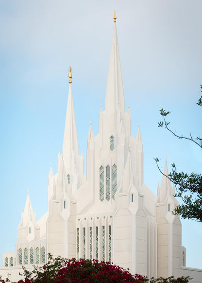 San Diego California Magenta Views