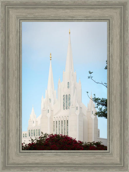 San Diego California Magenta Views