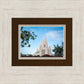 San Diego California Towering Spires
