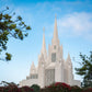 San Diego California Towering Spires