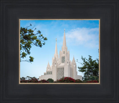 San Diego California Towering Spires