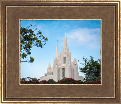 San Diego California Towering Spires