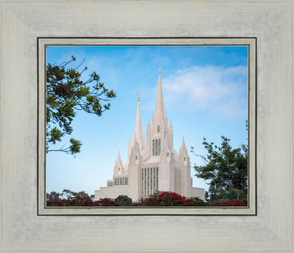San Diego California Towering Spires