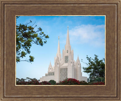 San Diego California Towering Spires