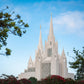 San Diego California Towering Spires