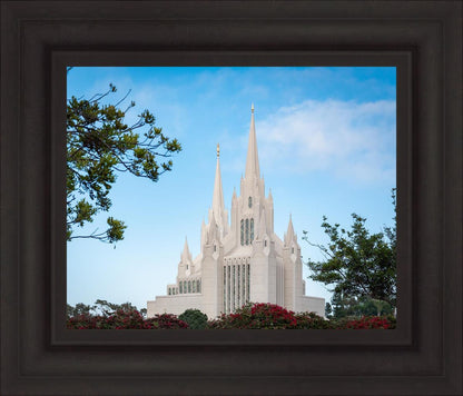 San Diego California Towering Spires