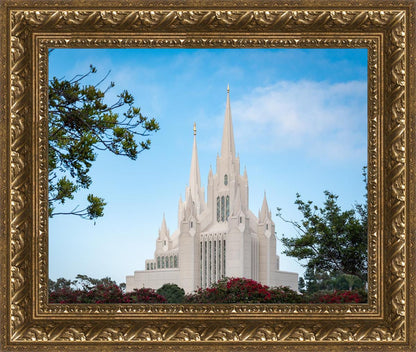 San Diego California Towering Spires