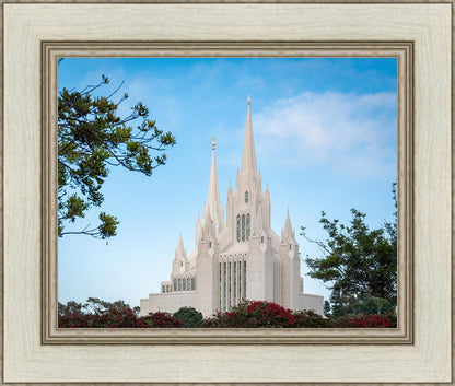 San Diego California Towering Spires